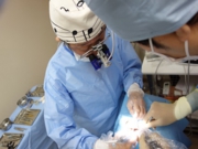 豊富なインプラント実績